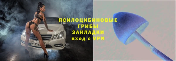 бошки Балахна