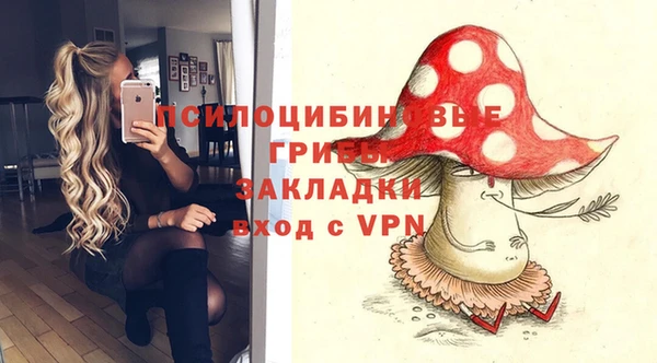 бошки Балахна