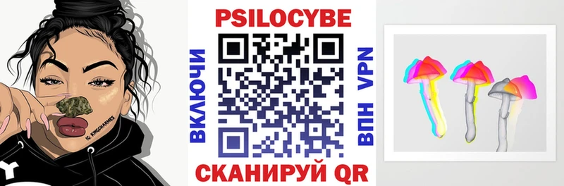 Псилоцибиновые грибы Psilocybine cubensis  Верхняя Пышма 